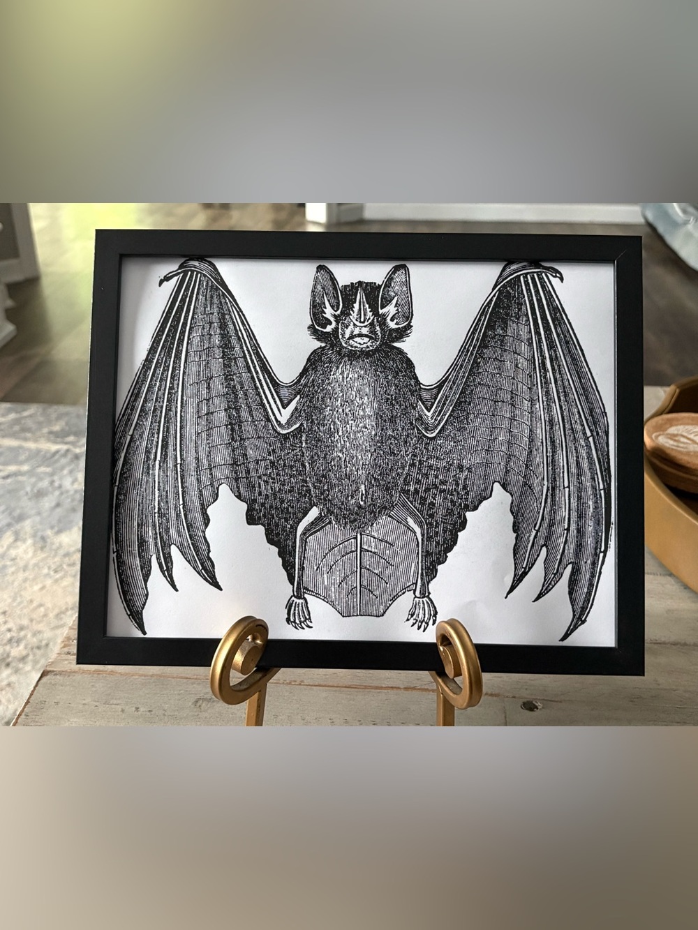 Framed Black Bat Illustration Wall Art - 8x10